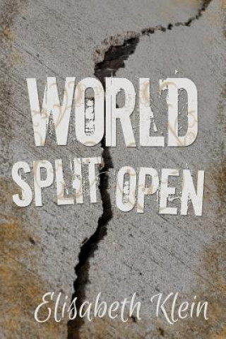 Βιβλίο World Split Open Elisabeth Klein