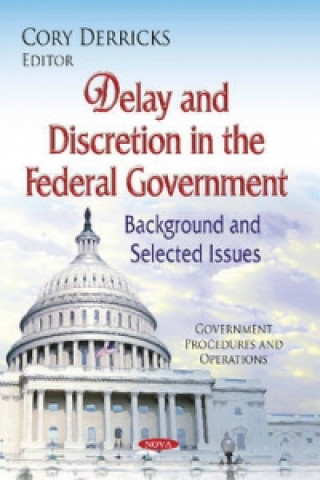 Kniha Delay & Discretion in the Federal Government 