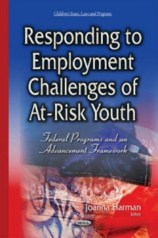 Knjiga Responding to Employment Challenges of At-Risk Youth 