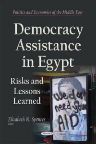 Carte Democracy Assistance in Egypt 