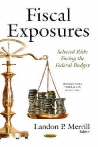 Buch Fiscal Exposures 