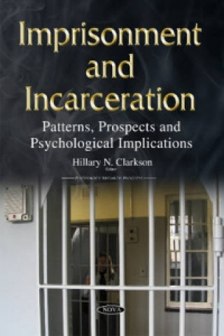 Book Imprisonment & Incarceration Hillary N Clarkson