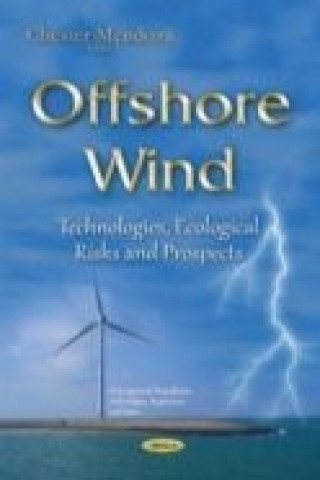 Knjiga Offshore Wind Chester Mendoza