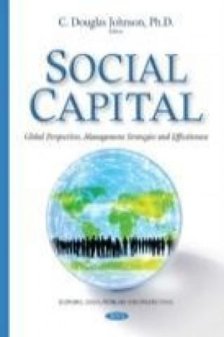 Buch Social Capital 