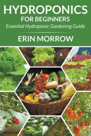 Carte Hydroponics For Beginners Erin Morrow