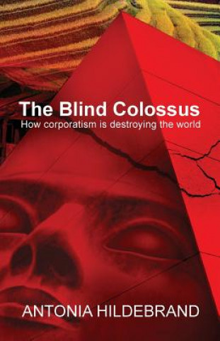 Książka Blind Colossus Antonia Hildebrand