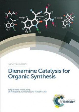 Kniha Dienamine Catalysis for Organic Synthesis RAMACH MADHAVACHARY