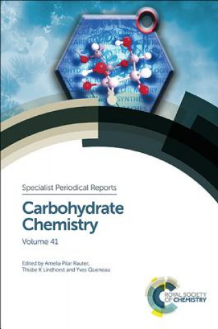 Książka Carbohydrate Chemistry Amelia Pilar Rauter