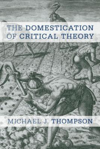 Book Domestication of Critical Theory Michael J. Thompson