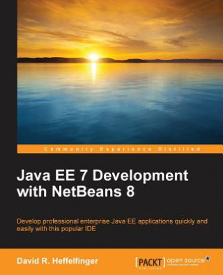 Kniha Java EE 7 Development with NetBeans 8 David R. Heffelfinger