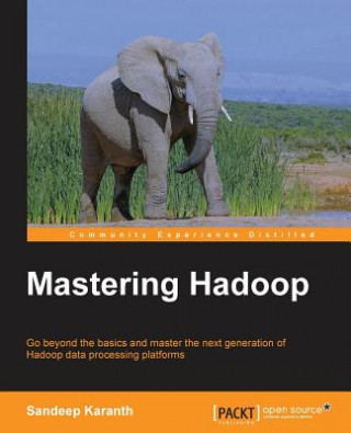 Kniha Mastering Hadoop Sandeep Karanth