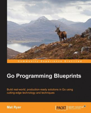 Könyv Go Programming Blueprints Mat Ryer