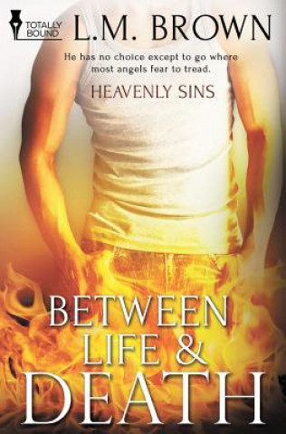 Buch Heavenly Sins Brown