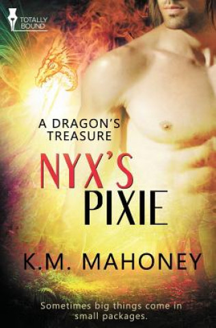 Book Dragon's Treasure K M Mahoney