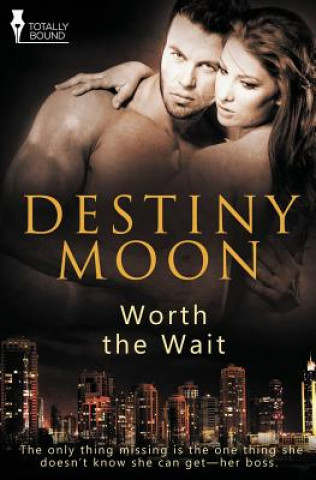 Kniha Worth the Wait Destiny Moon