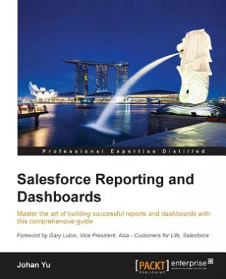 Kniha Salesforce Reporting and Dashboards Johan Yu