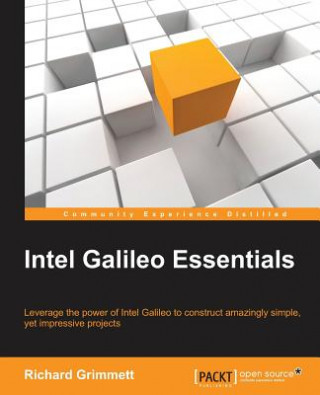 Kniha Intel Galileo Essentials Richard Grimmett