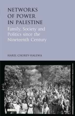 Книга Networks of Power in Palestine Harel Chorev-Halewa