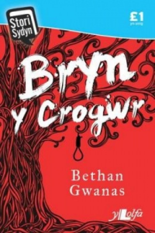 Kniha Stori Sydyn: Bryn y Crogwr Bethan Gwanas