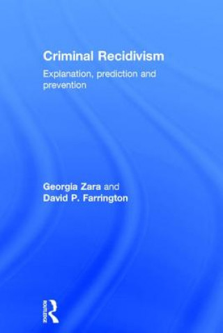Buch Criminal Recidivism Georgia Zara