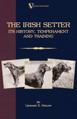Carte Irish Setter - Its History, Temperament And Training (A Vintage Dog Books Breed Classic) Naylor