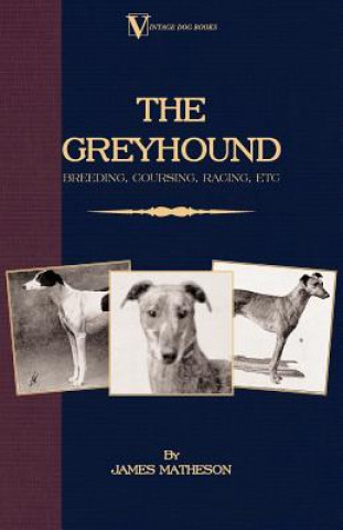 Carte Greyhound James Matheson