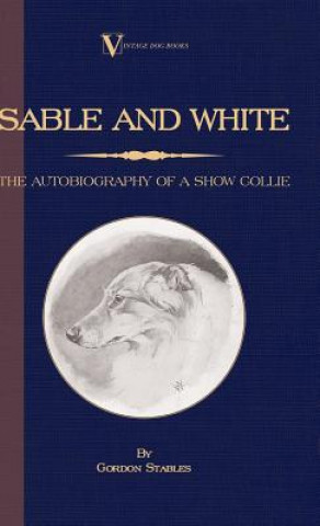 Książka Sable and White - The Autobiography of a Show Collie (A Vintage Dog Books Breed Classic) Gordon Stables