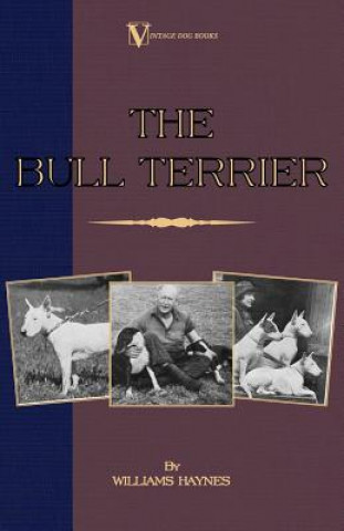 Kniha Bull Terrier (A Vintage Dog Books Breed Classic) Williams Haynes