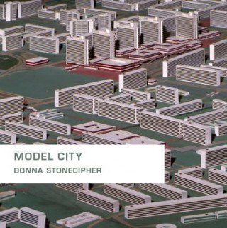 Kniha Model City Donna Stonecipher