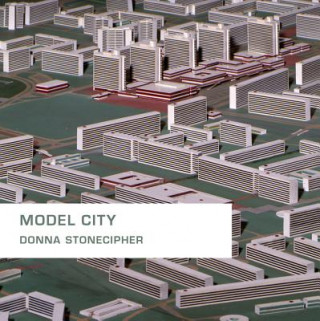 Книга Model City Donna Stonecipher