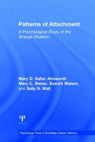 Kniha Patterns of Attachment Sally Wall