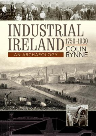 Könyv Industrial Ireland Colin Rynne