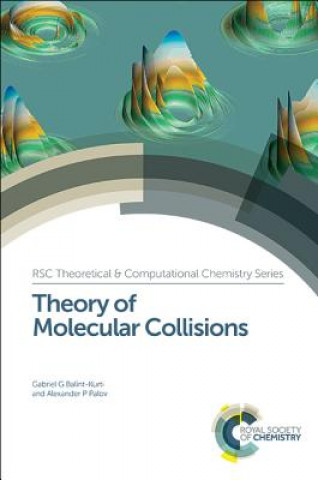 Könyv Theory of Molecular Collisions Alexander P. Palov