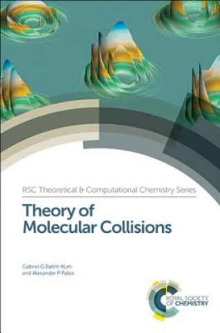 Kniha Theory of Molecular Collisions Alexander P. Palov