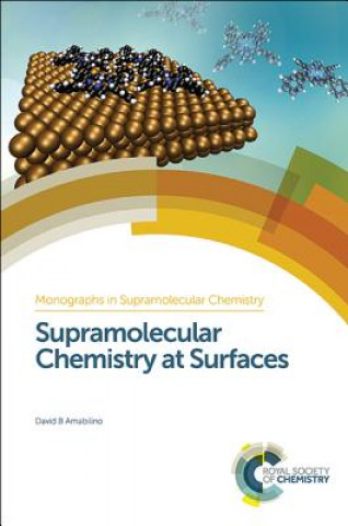 Kniha Supramolecular Chemistry at Surfaces AMABILINO
