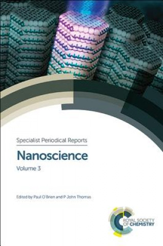 Kniha Nanoscience Paul O'Brien