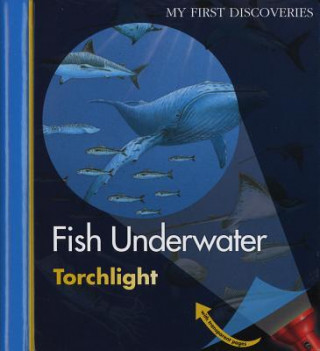 Könyv Fish Underwater Claude Delafosse