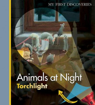 Könyv Animals at Night Heliadore