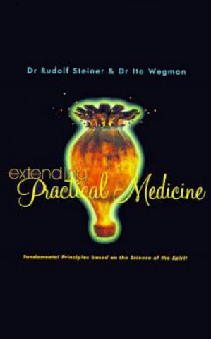 Carte Extending Practical Medicine Ita Wegman