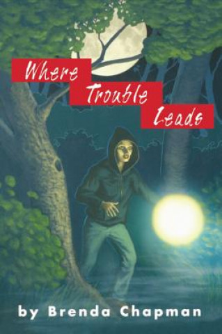 Kniha Where Trouble Leads Brenda Chapman