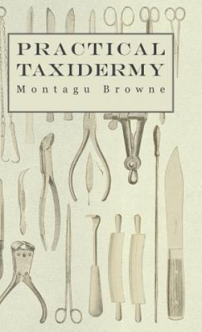 Book Practical Taxidermy - A Manual of Instruction To The Amateur In Collecting, Preserving, And Setting Up Natural History Specimens of All Kinds Montagu Browne