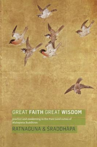 Kniha Great Faith, Great Wisdom Ratnaguna