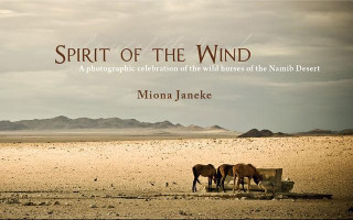 Kniha Spirit of the Wind Miona Janeke