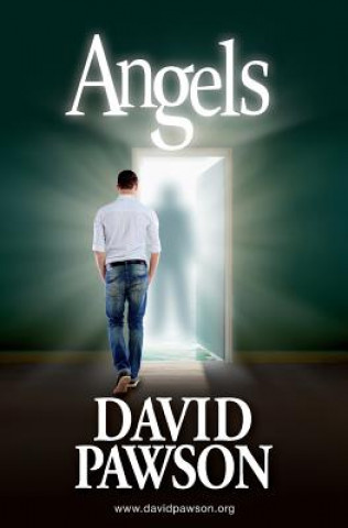 Book Angels David Pawson