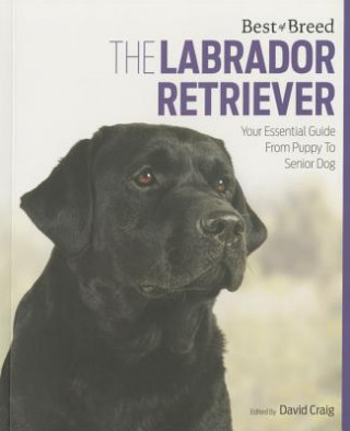 Carte Labrador Retriever Best of Breed EDITOR