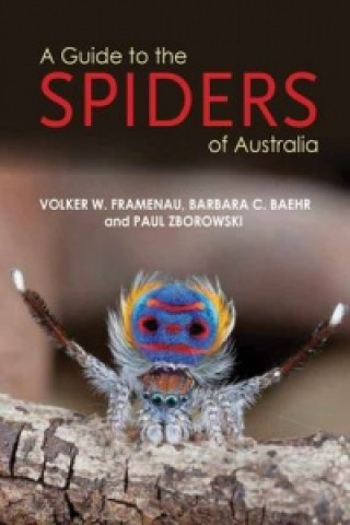 Knjiga Guide to Spiders of Australia Paul Zborowski