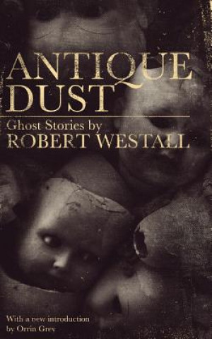 Kniha Antique Dust Robert Westall