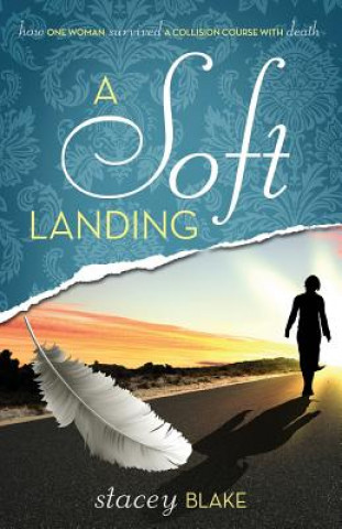 Kniha Soft Landing Stacey Blake
