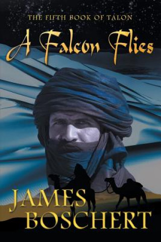 Kniha Falcon Flies James Boschert
