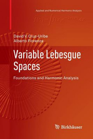 Kniha Variable Lebesgue Spaces Alberto Fiorenza